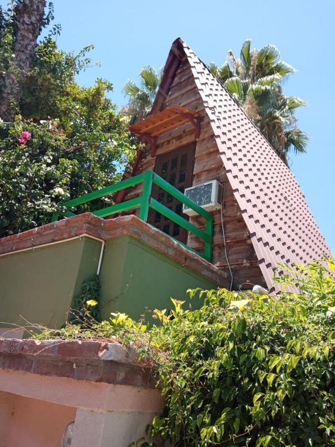 Cabanas Rusticas El Benny By Rotamundos Loreto  Exterior photo